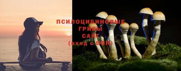 мяу мяу мука Алексин