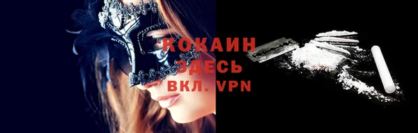 spice Алзамай