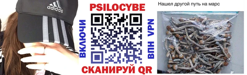 Галлюциногенные грибы мухоморы  Лермонтов 